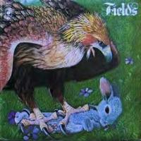 Fields - Fields cover