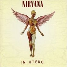 Nirvana - In Utero cover