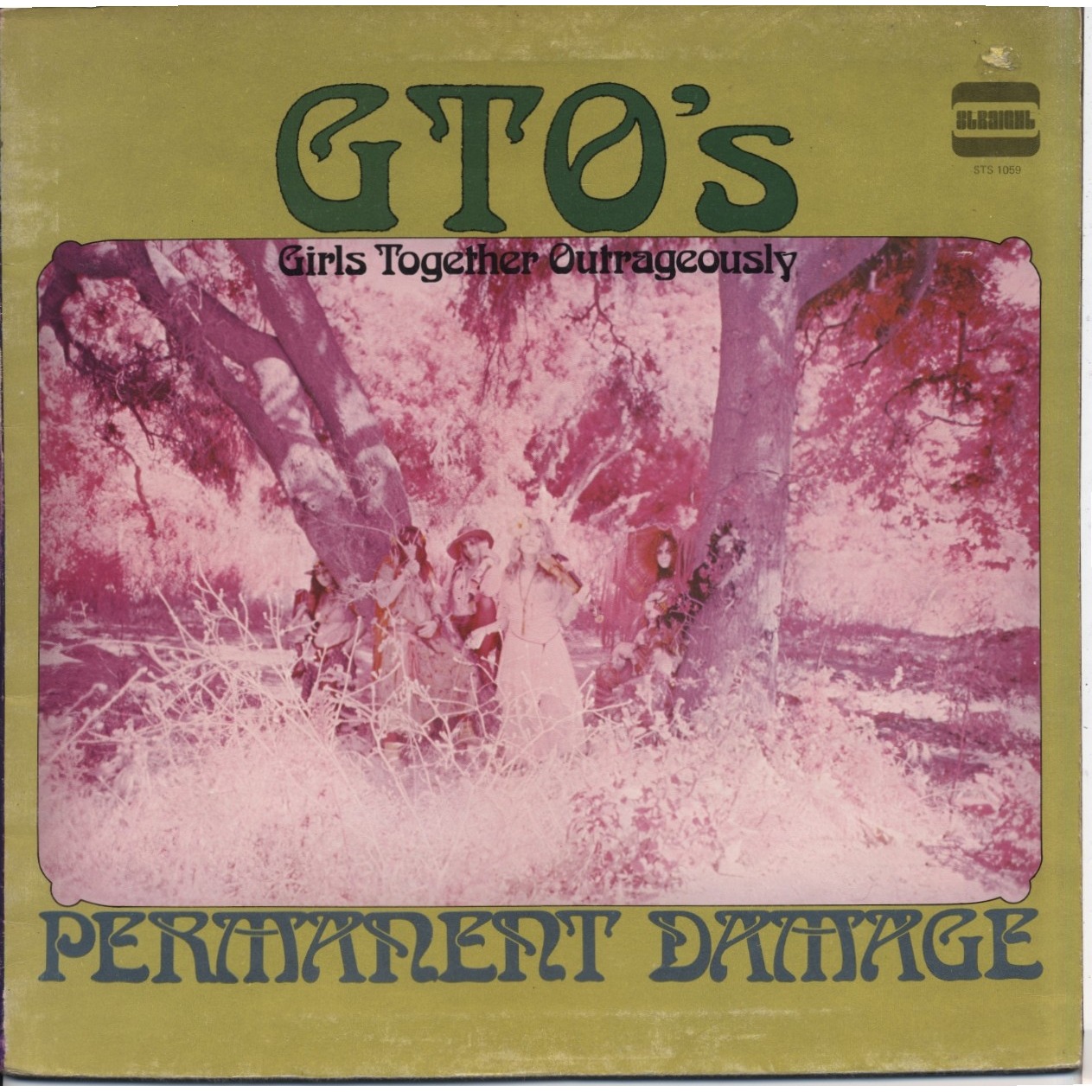 GTO's, The - Permanent Damage cover