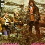Steamhammer - Reflection cover