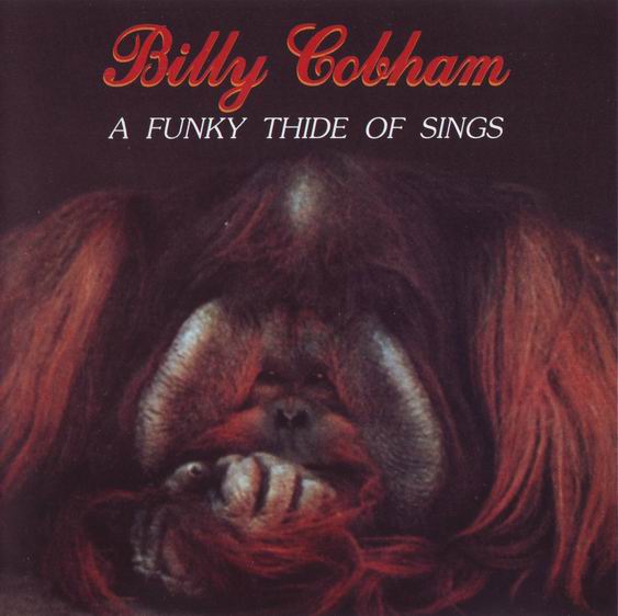 Cobham, Billy - A Funky Thide of Sings cover