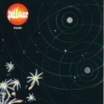 Pulsar - Pollen cover