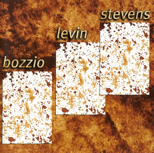 Bozzio Levin Stevens - Situation Dangerous cover