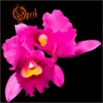 Opeth - Orchid cover