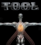 Tool - Salival cover