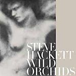 Hackett, Steve - Wild Orchids cover