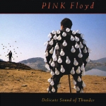 Pink Floyd - Delicate Sound of Thunder cover