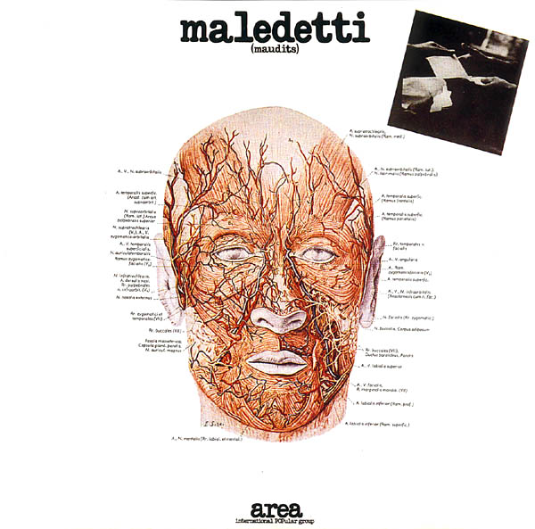 Area - Maledetti cover