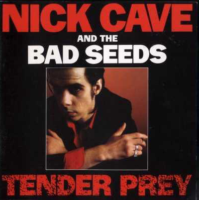 Nick Cave & The Bad Seeds - Tender Prey cover
