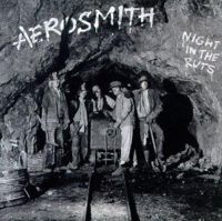 Aerosmith - Night in the Ruts cover