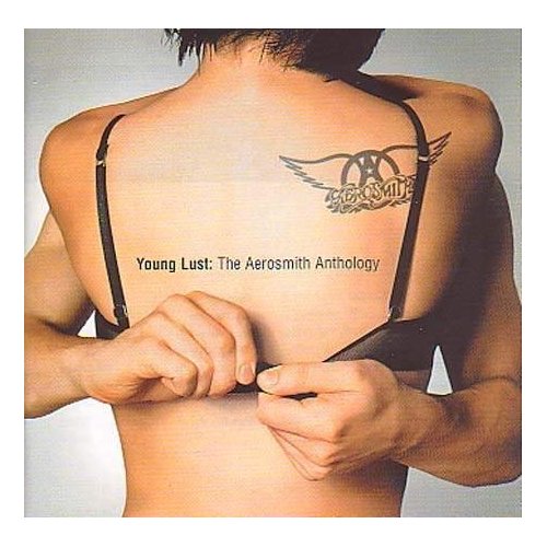 Aerosmith - Young Lust: The Aerosmith Anthology cover