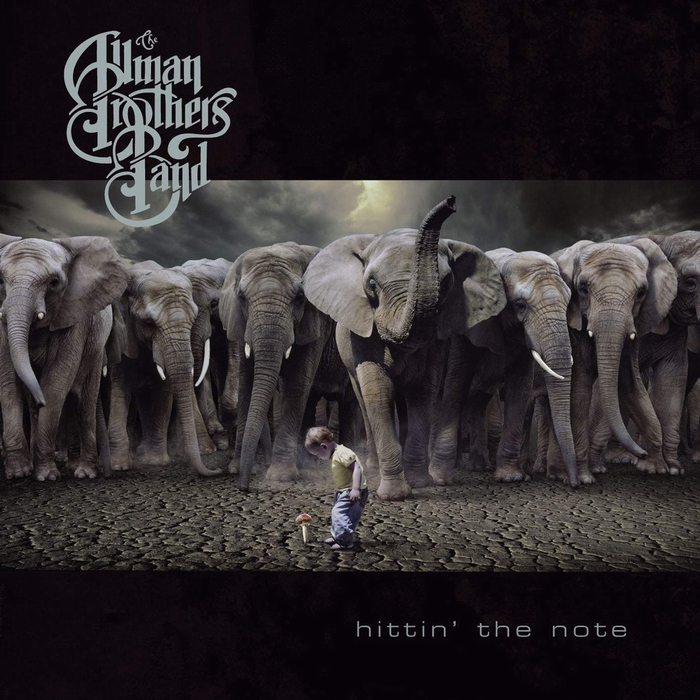 Allman Brothers Band, The - Hittin' The Note cover