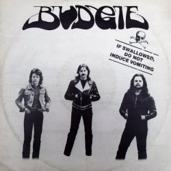 Budgie - If Swallowed, Do Not Induce Vomitting (EP) cover