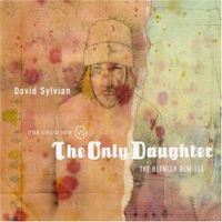 Sylvian, David - The Good Son vs The Only Daughter (The Blemish Remixies) cover