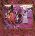 Captain Beefheart & His Magic Band - The Grow Fins Box Set cover