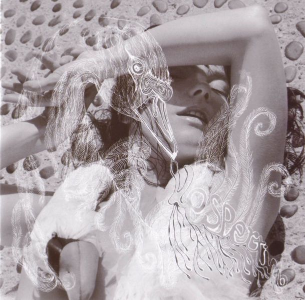 Björk - Vespertine cover