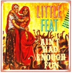 Little Feat - Ain't Had Enough Fun cover