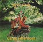 Greenslade - Large Afternoon cover