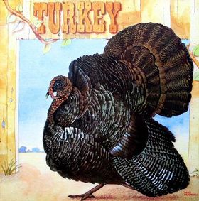 Wild Turkey - Turkey cover