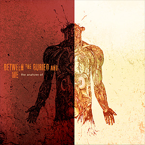 Between The Buried And Me - The Anatomy Of... cover