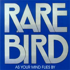 Rare Bird - As your mind flies by cover