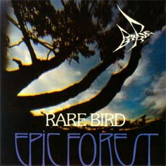 Rare Bird - Epic forest cover