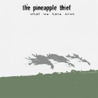 Pineapple Thief - What We Have Sown cover