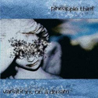 Pineapple Thief - Variations On A Dream cover