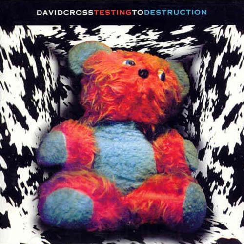 Cross, David - Testing to Destruction  cover