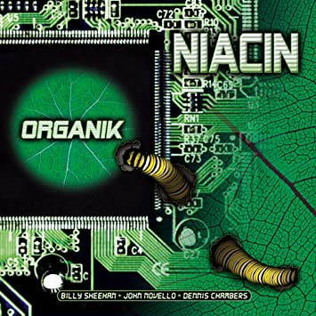 Niacin - Organik cover