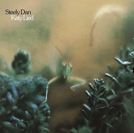 Steely Dan - Katy Lied cover