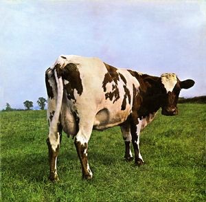 Pink Floyd - Atom Heart Mother cover