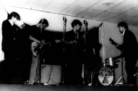 13th Floor Elevators photo