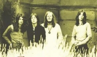 Steamhammer photo