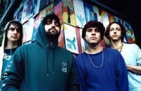 Animal Collective photo