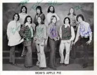 Mom's Apple Pie photo