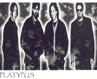 Platypus photo