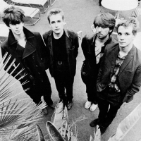 Echo & The Bunnymen photo