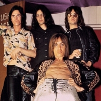 Stooges, The photo