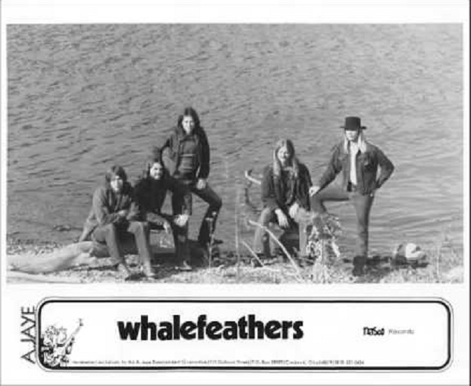 Whalefeathers photo